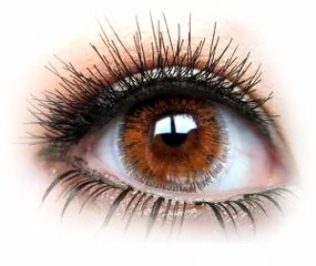 眼前會(huì)突然飄過(guò)一條線眨眨眼就消失是怎么回事？